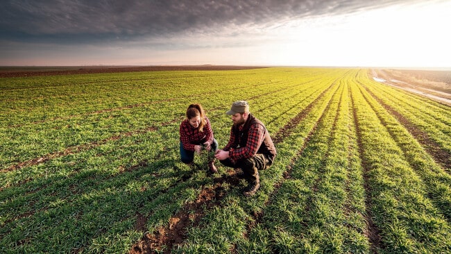 Future Drought Fund delivering new opportunities for Australian farmers